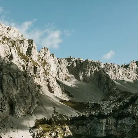 Verusa 2 * 포드고리차