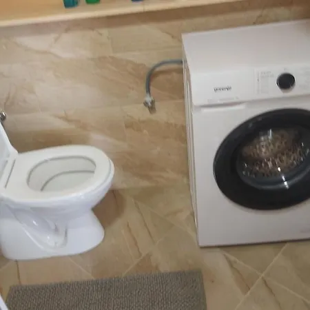 Verusa 2 * 포드고리차